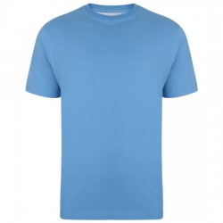Kam Plain Crew Neck T-Shirt - Blue