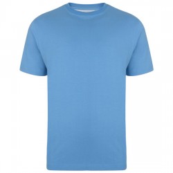 Kam Plain Crew Neck T-Shirt - Blue