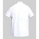 D555 Delmar Easy Iron Classic Short Sleeve Shirt - White